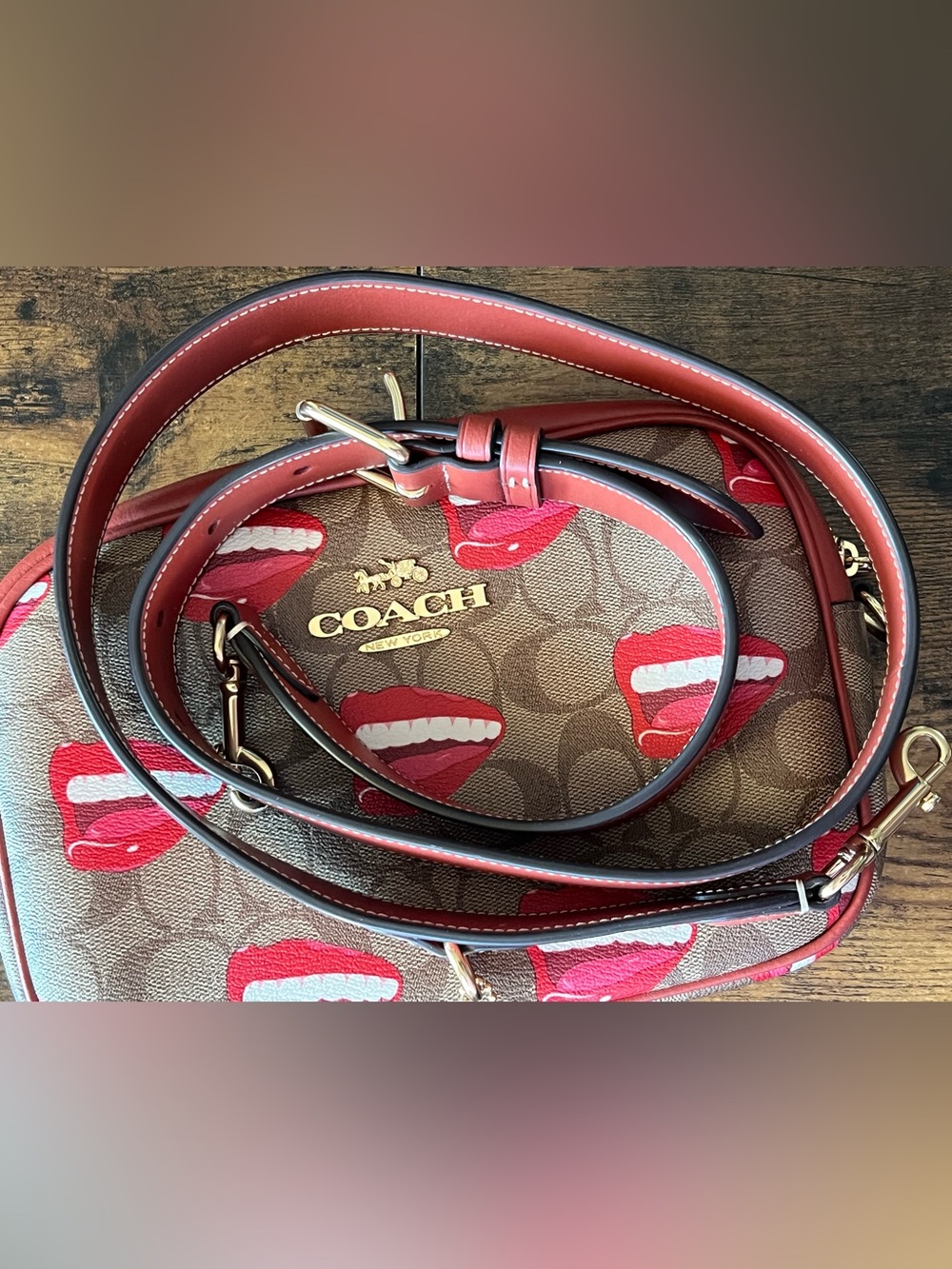 Limited editionCoach CQ034 x Tom Wesselmann Jamie CameraBag In Signature canvas - Picture 13 of 15
